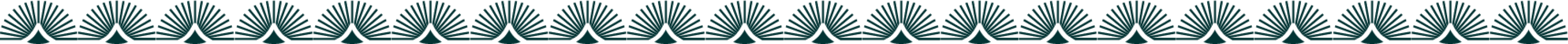 decorator